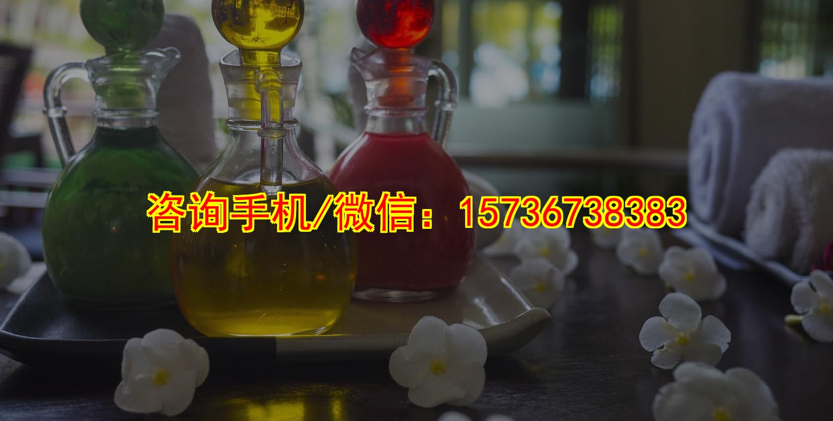 驻马店代母服务